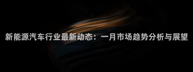 球盟会可以提现么现在:新能源汽车行业最新动态:一月市场趋势分