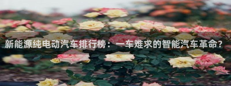 球盟会唯一:新能源纯电动汽车排行榜:一车难求的智能汽车革命?