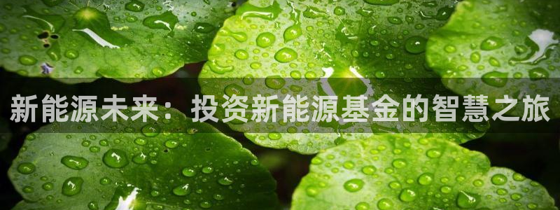 球盟会qmh