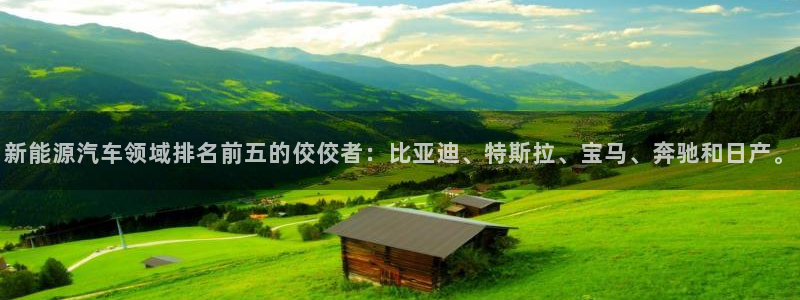 球盟会下款快吗:新能源汽车领域排名前五的佼佼者:比亚迪、特斯