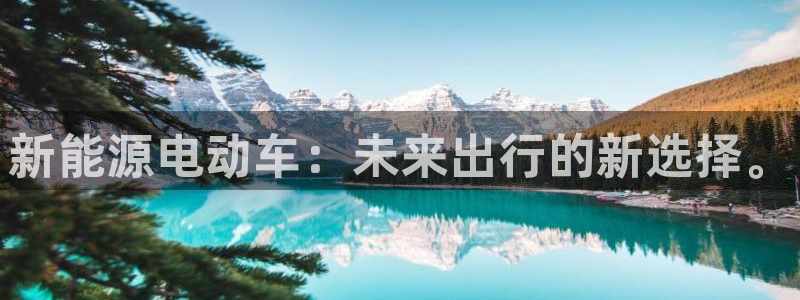 球盟会app入口:新能源电动车:未来出行的新选择。