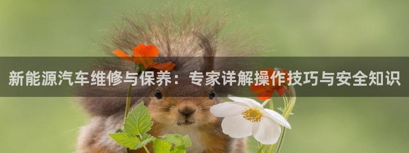 球盟会qmh