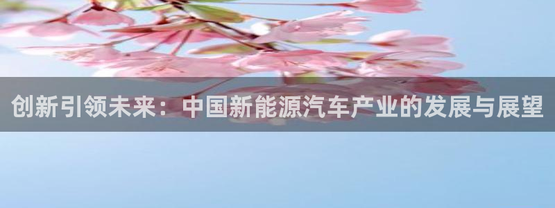 球盟会官方网址入口:创新引领未来:中国新能源汽车产业的发展与