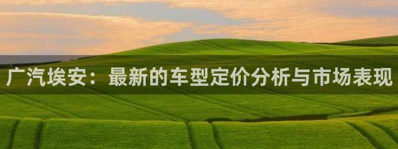 球盟会进不去