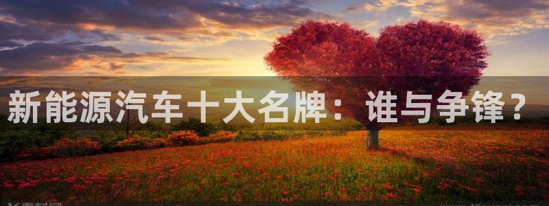 球盟会综合app下载