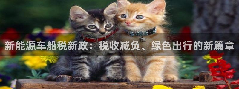 球盟会游戏