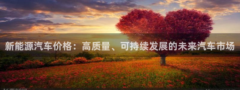 球盟会有没有黑单的人:新能源汽车价格:高质量、可持续发展的未