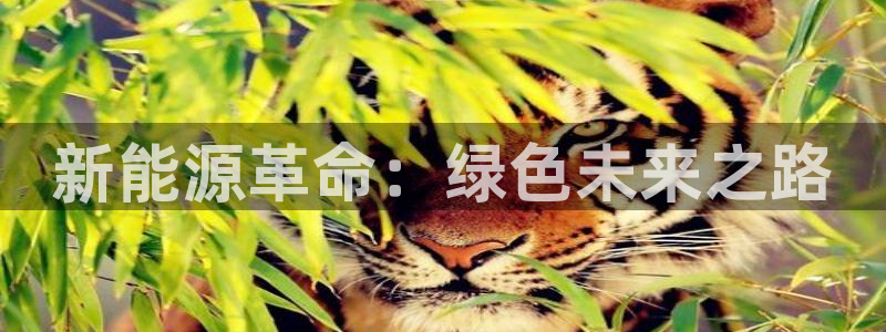 球盟会官网:新能源革命:绿色未来之路