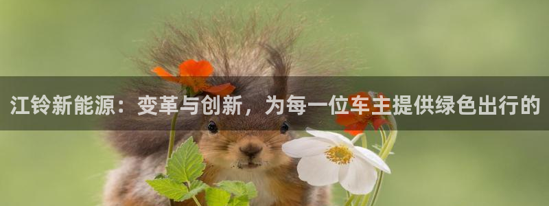 球盟会提款支付宝怎么样：江铃新能源：变革