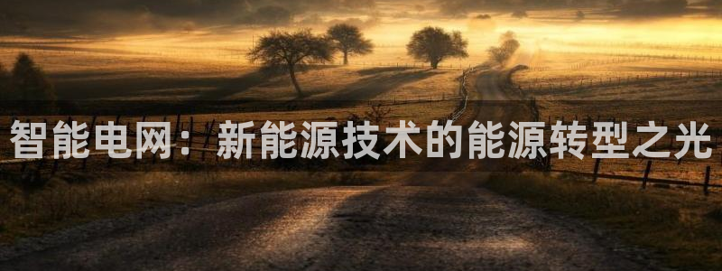 球盟会黑款吗知乎文章：智能电网：新能源技