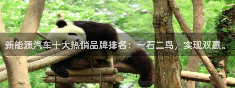 球盟会APP官网：新能源汽车十大热销品牌