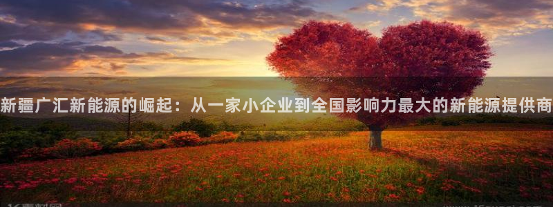 球盟会app最新地址下载安装：新疆广汇新