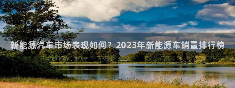 球盟会类似的网站:新能源汽车市场表现如何?2023年新能源车
