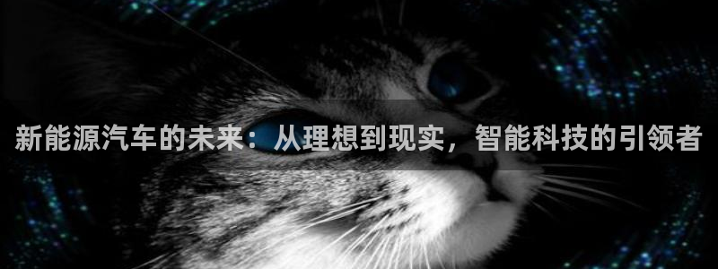 球盟会下款快吗