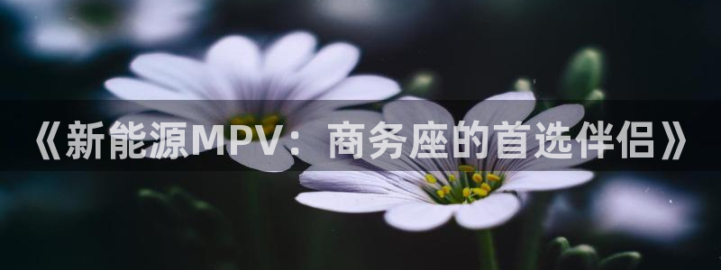 球盟会qm