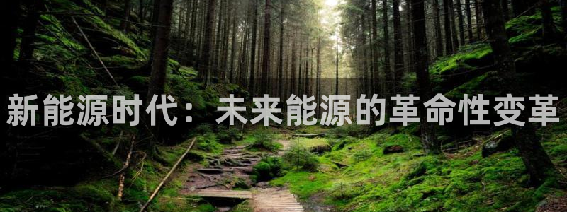 球盟会用的客服聊天是哪个软件:新能源时代:未来能源的革命性变