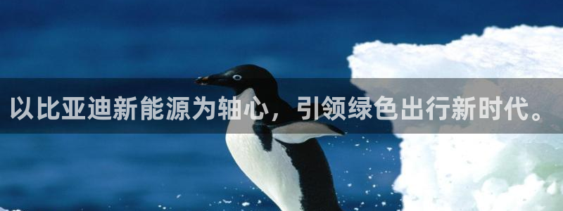 球盟会优惠码