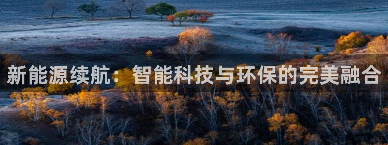 球盟会平台会黑单吗