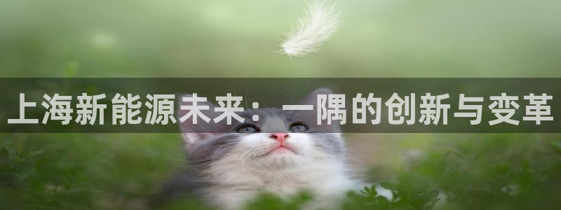 球盟会用的客服聊天是哪个软件:上海新能源未来:一隅的创新与变