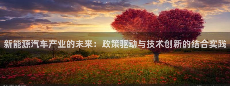 球盟会游戏几点玩合适