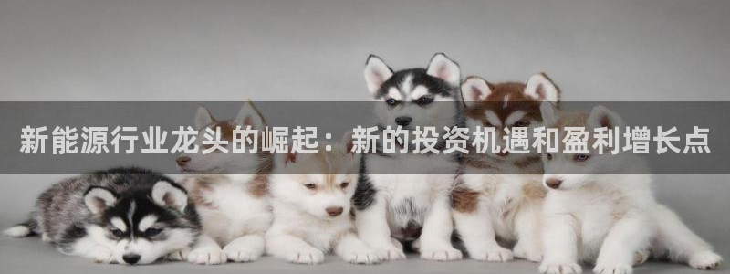 球盟会类似的网站