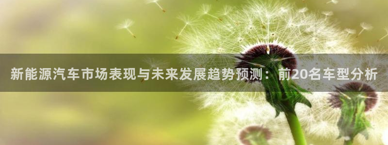 球盟会进不去