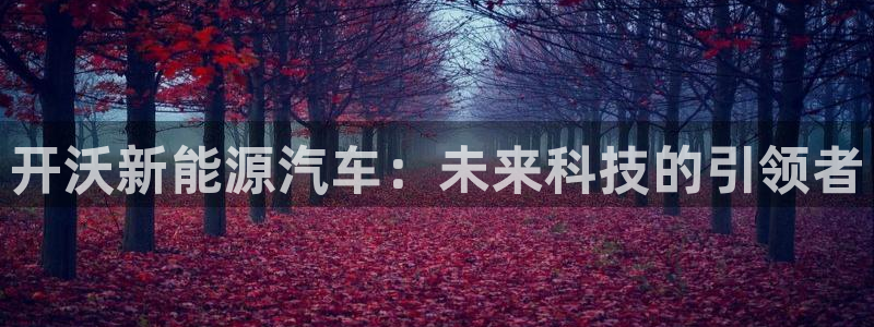球盟会电子