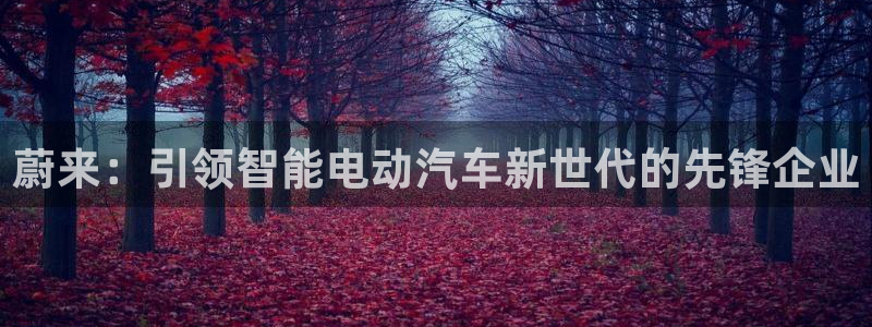 球盟会有没有黑单的：蔚来：引领智能电动汽