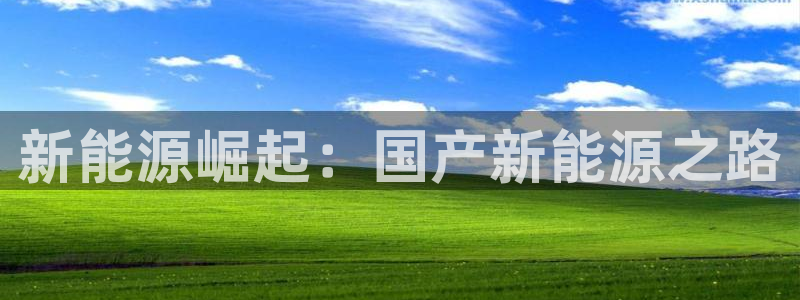 球盟会在线登录官网：新能源崛起：国产新能