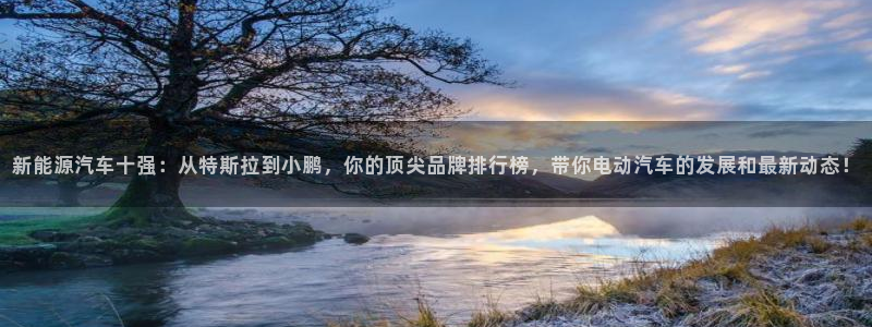 球盟会平台会黑单吗：新能源汽车十强：从特