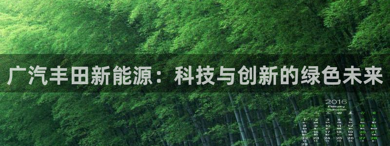 球盟会有没有黑单的:广汽丰田新能源:科技与创新的绿色未来