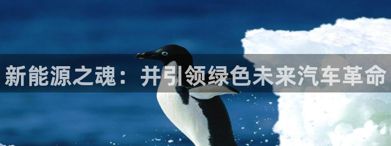 球盟会app入口