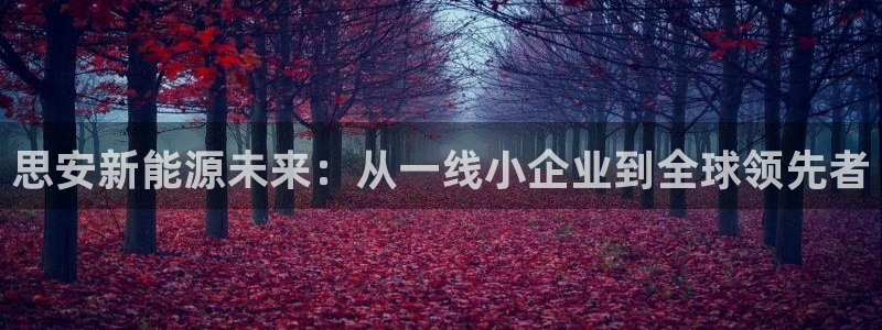 球盟会黑款吗知乎小说