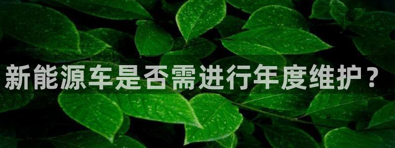 球盟会优惠码