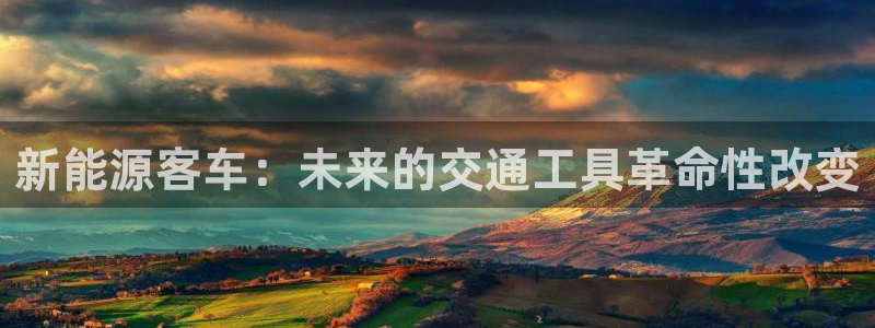 球盟会进不去