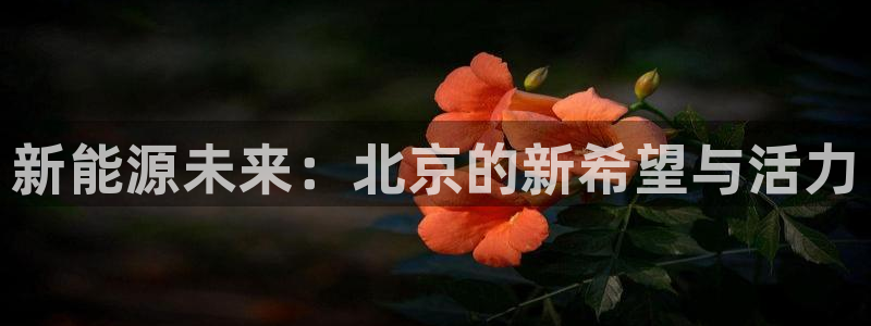 球盟会