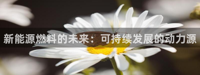 球盟会邮箱