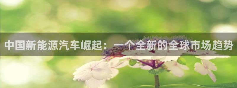 球盟会官方app首页入口