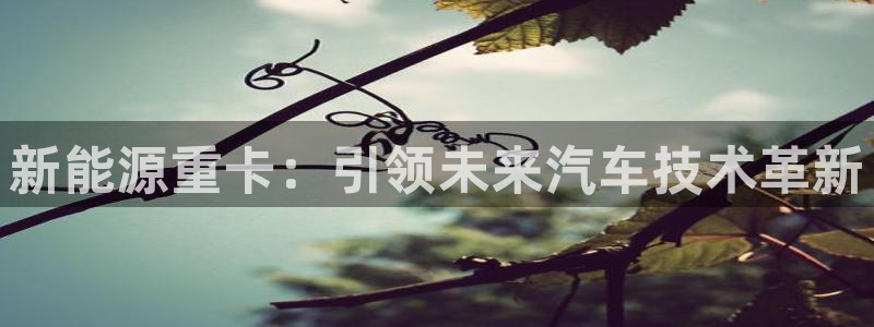 球盟会电子游戏平台