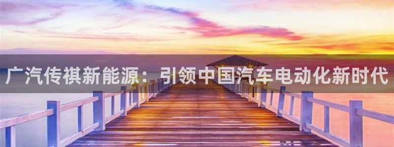 球盟会综合体育平台怎么样：广汽传祺新能源