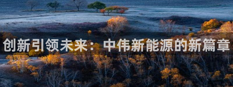 球盟会吧:创新引领未来:中伟新能源的新篇章