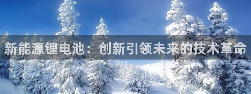 球盟会官方下载:新能源锂电池:创新引领未来的技术革命