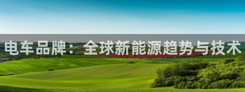 球盟会几点玩合适:电车品牌:全球新能源趋势与技术