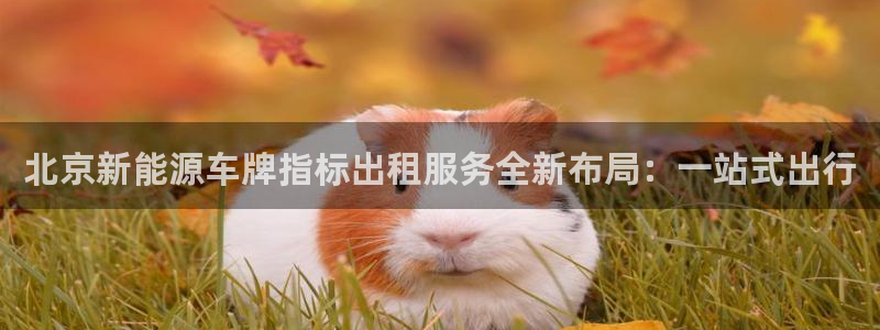 球盟会最新:北京新能源车牌指标出租服务全新布局:一站式出行