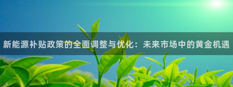 球盟会能退钱吗现在:新能源补贴政策的全面调整与优化:未来市场