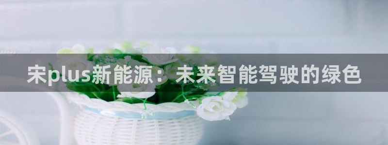 球盟会官方网站是什么:宋plus新能源:未来智能驾驶的绿色