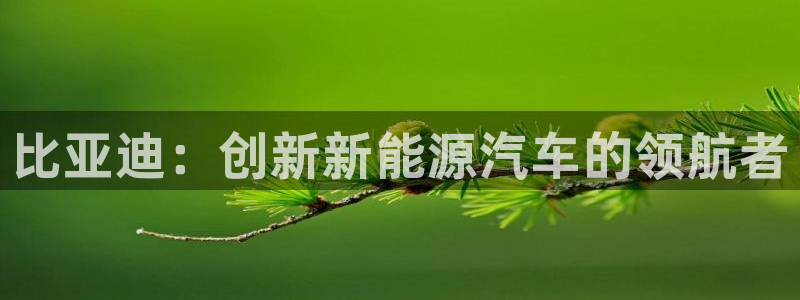 球盟会电子游戏平台