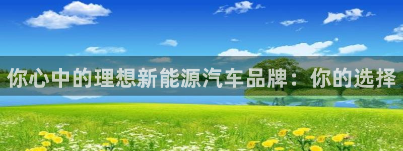 球盟会有没有黑单的:你心中的理想新能源汽车品牌:你的选择