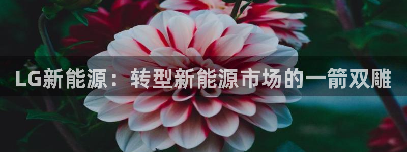 球盟会类似的网站:LG新能源:转型新能源市场的一箭双雕