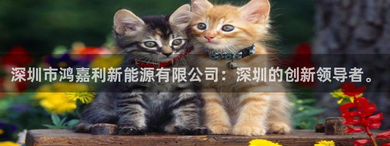 球盟会登录网址：深圳市鸿嘉利新能源有限公